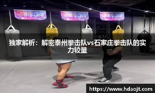 独家解析：解密泰州拳击队vs石家庄拳击队的实力较量